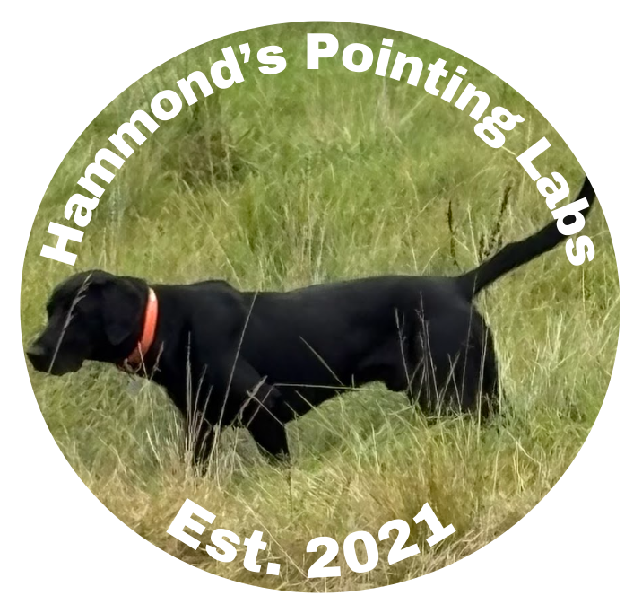 Hammond's Pointing Labs Logo